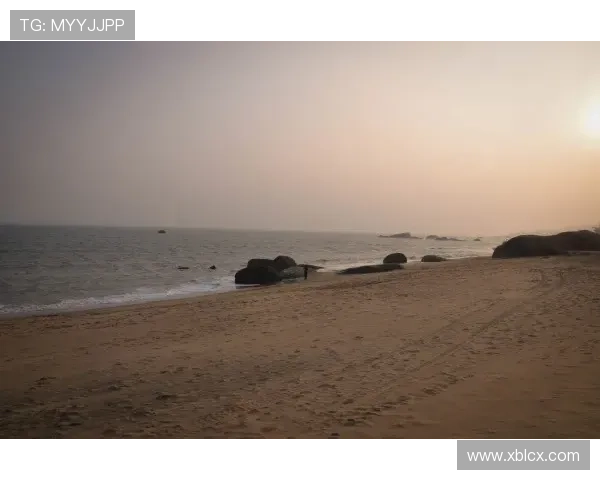 《漫长的告别》:当记忆的潮水涌来,我们该如何告别? 《漫长的告别》:当记忆的潮水涌来,我们该如何告别?