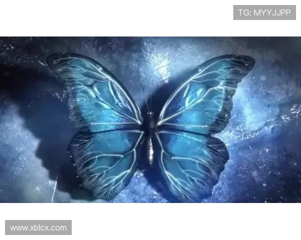 PLLS4_迷雾重重,谎言编织的蝴蝶效应 PLLS4_迷雾重重,谎言编织的蝴蝶效应