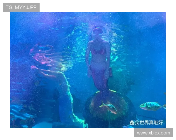 与龙同行:一场关于勇气、梦想与未知的奇幻之旅 与龙同行:一场关于勇气、梦想与未知的奇幻之旅