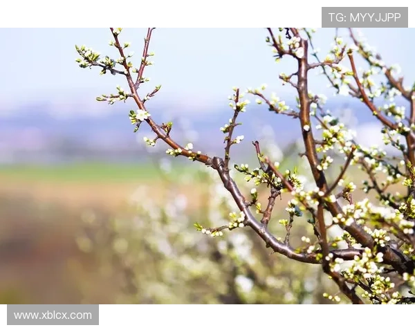 春潮涌动，万物新生：一场关于生命与梦想的诗意启程