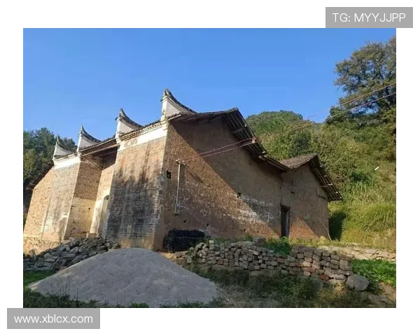 枕边悄语：当“枕男子”成为温柔的寄托